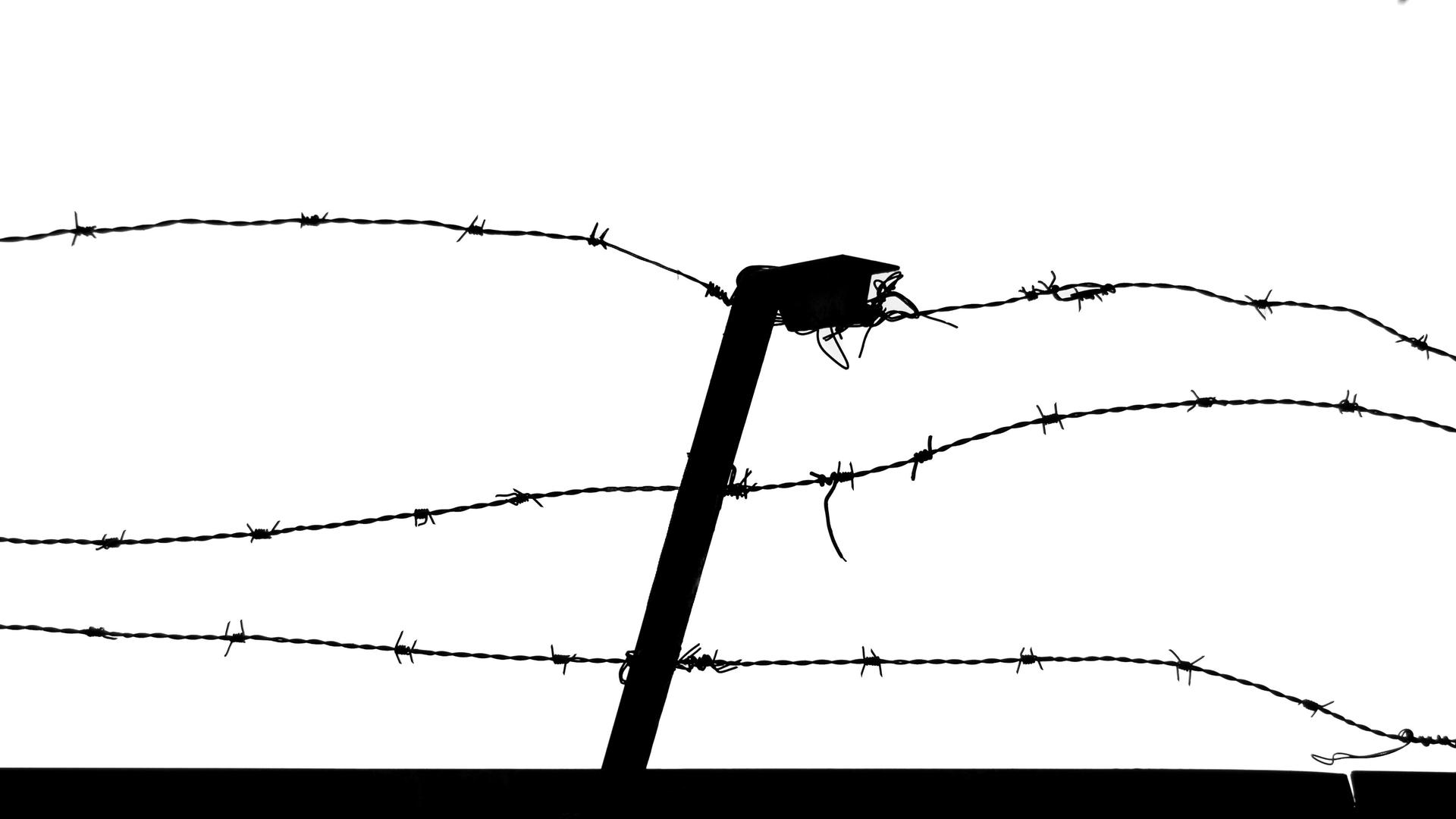 A stark black-and-white silhouette of barbed wire, evoking confinement and forced labour behind a fence.