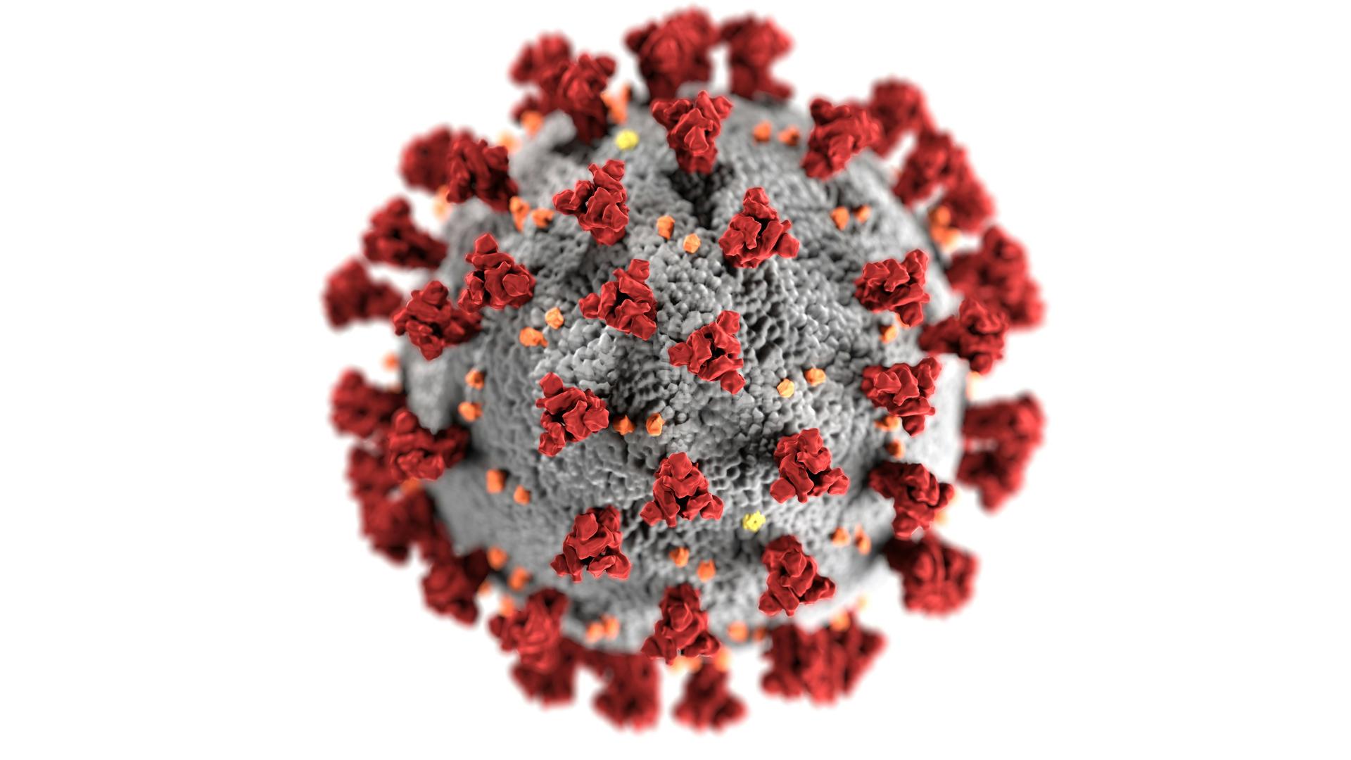 Healthcare worker in a clinical setting, illustrative image for coverage of Ebola response and quarantine planning.