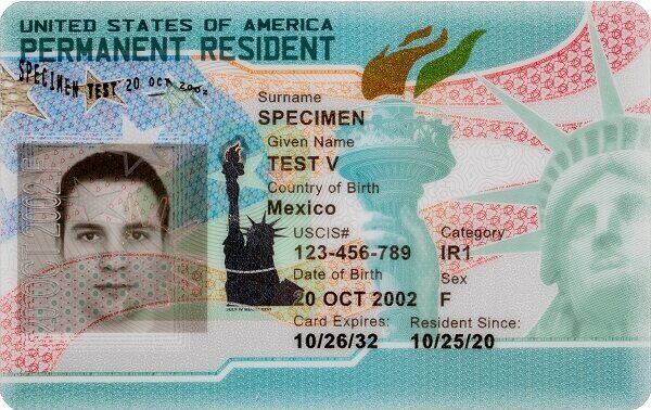 A specimen United States Permanent Resident Card, or green card, issued by US Citizenship and Immigration Services