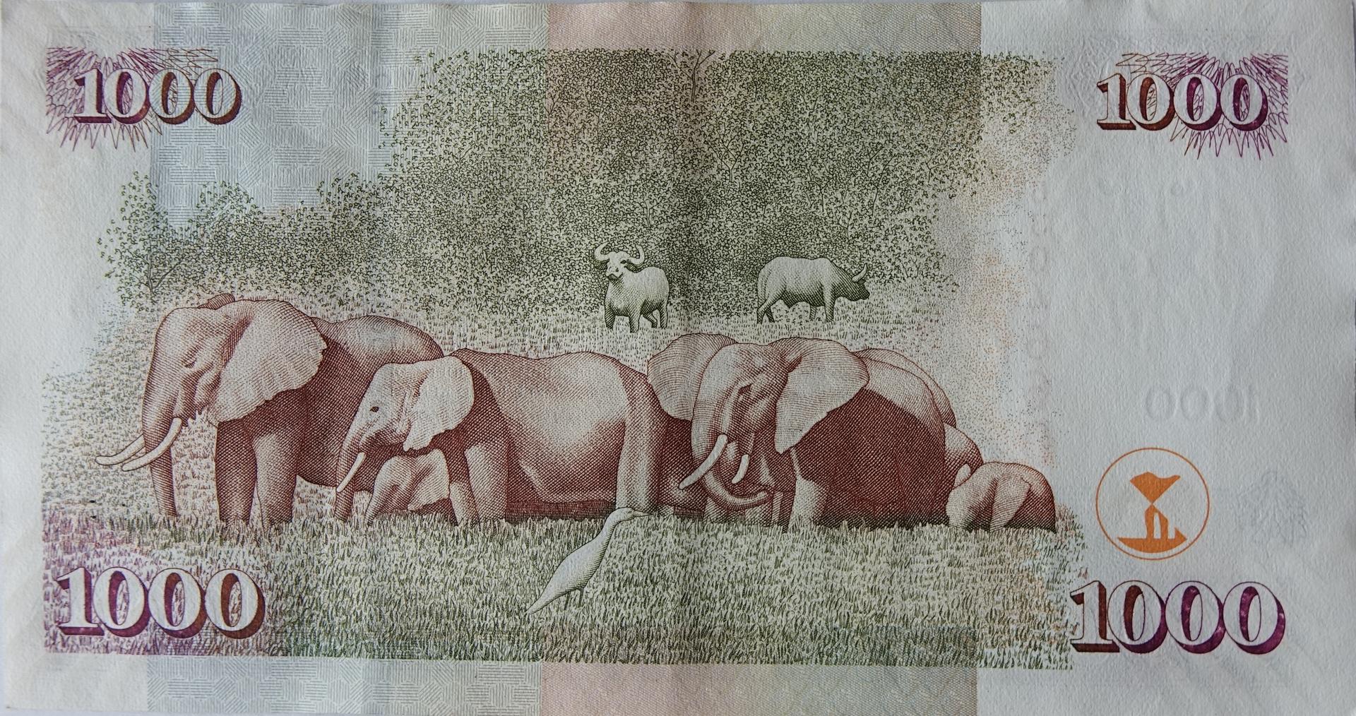 A Kenyan 1,000-shilling banknote, the currency at the heart of the Finance Bill 2026 tax debate.
