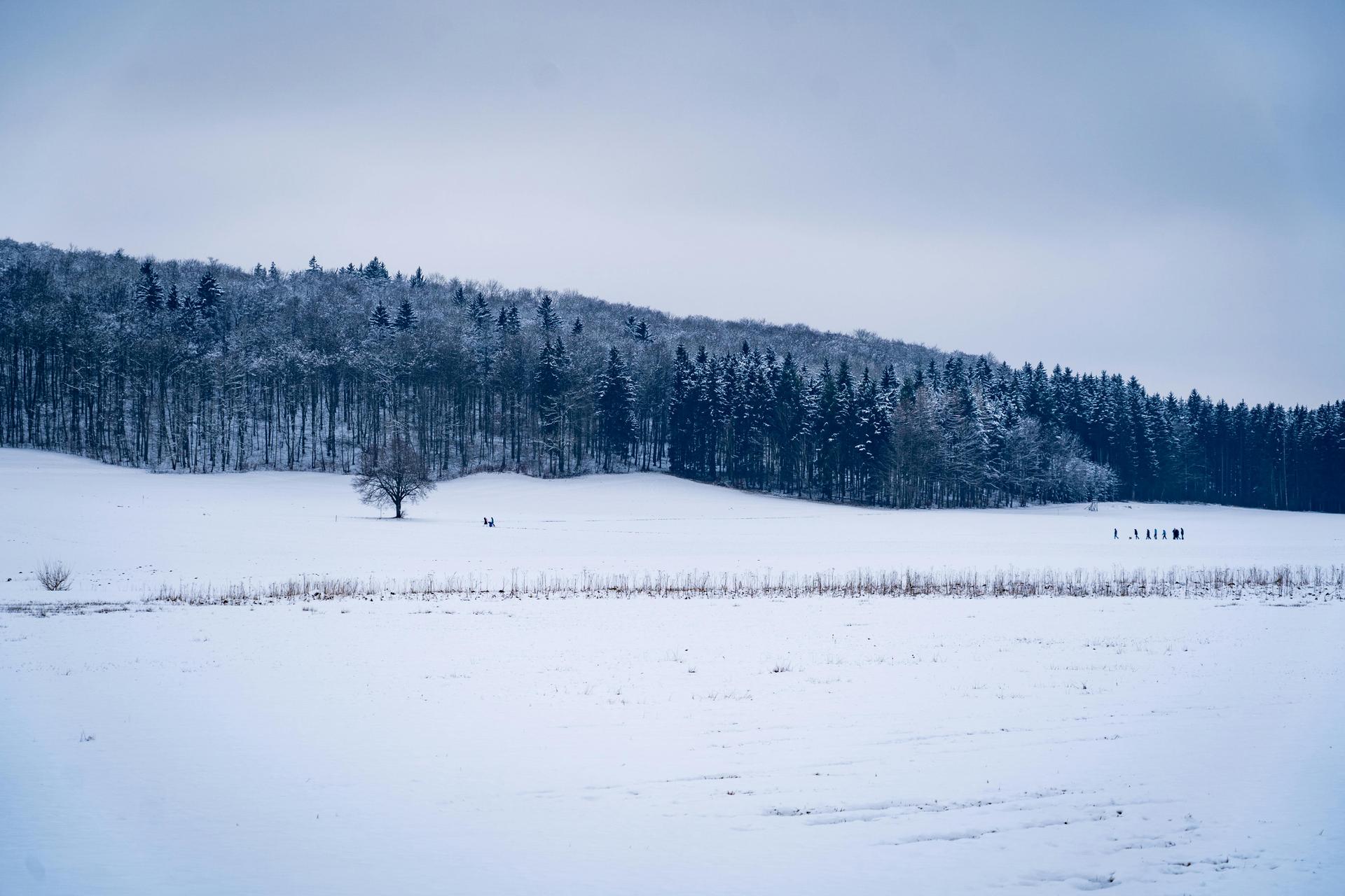 A snow-covered winter field at twilight, evoking the distant European front where hundreds of Kenyans have been deployed.