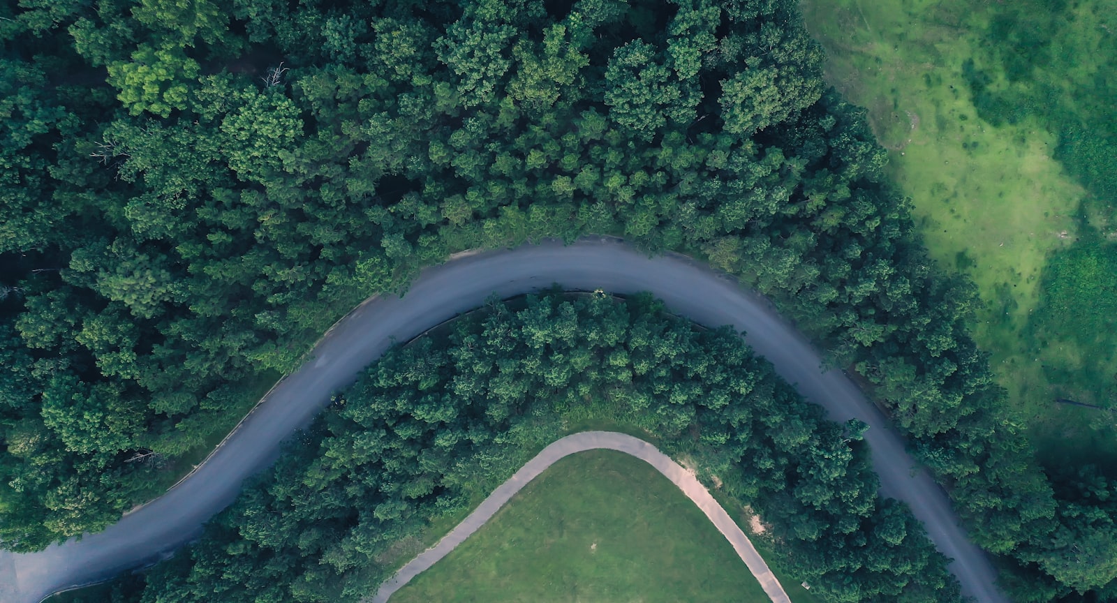A quiet two-lane road winds through dense green forest, evoking the wooded backroads of Shelby County, Alabama where a Kenyan grandfather was last seen.